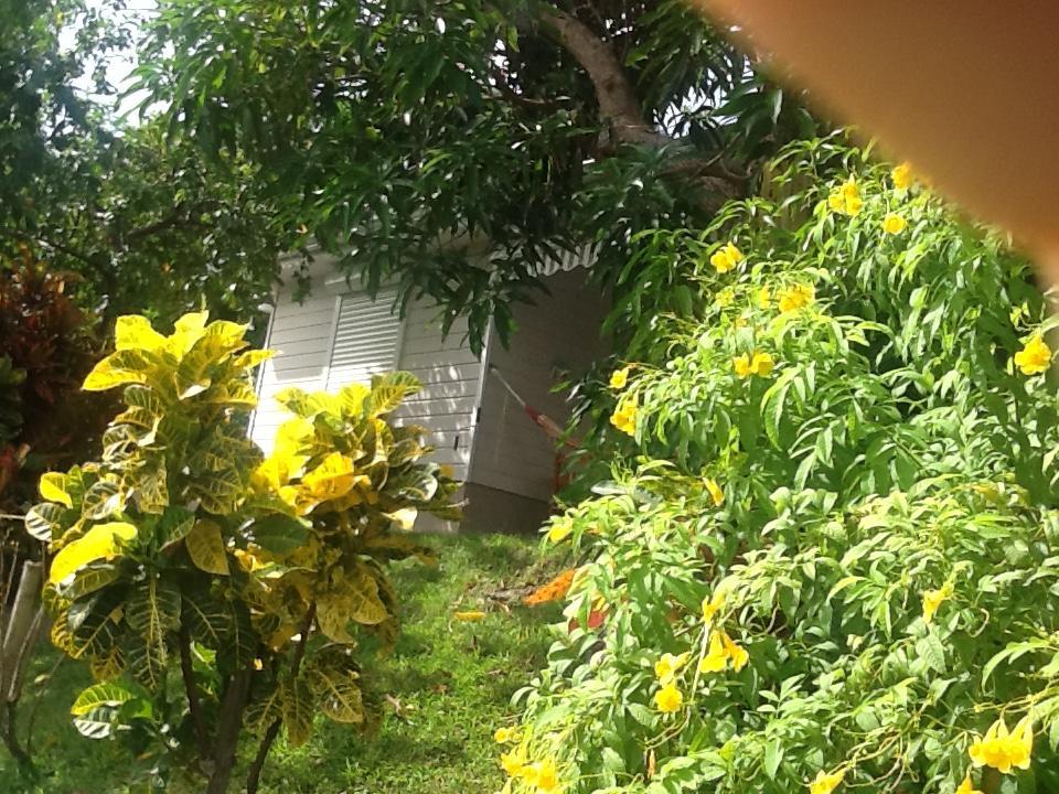 Bungalow Le Manikou Le Robert Exterior foto